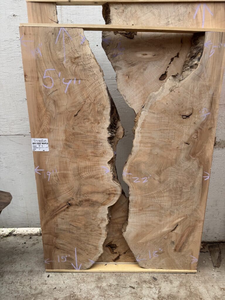 Rajan Table - Raw bigleaf maple slab selection and measuring